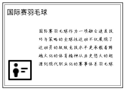 国际赛羽毛球