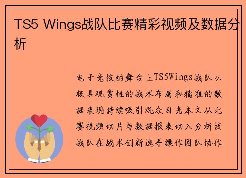 TS5 Wings战队比赛精彩视频及数据分析