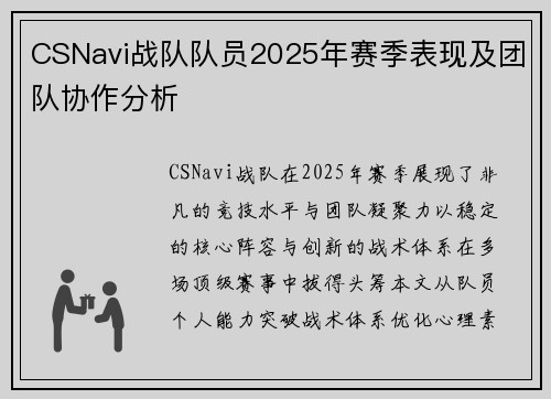 CSNavi战队队员2025年赛季表现及团队协作分析